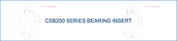 CSB200 Bearing Insert