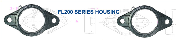 FL200 Series Housing Metric