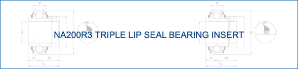 NA200R3 Triple Lip Seal Bearing Insert