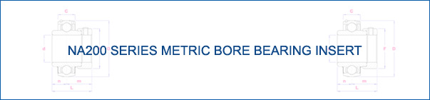 NA200 Series Metric Bore Bearing Insert
