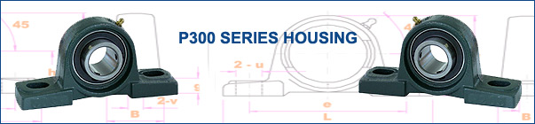 P300 Series Housing Metric