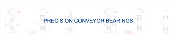 Precision Conveyor Bearings
