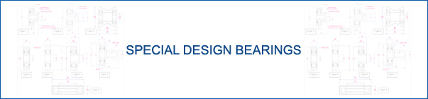 Special Design Bearings