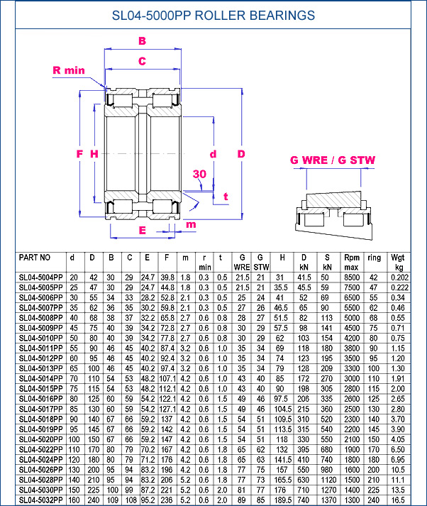 Roller Bearings SL04-5000 PP